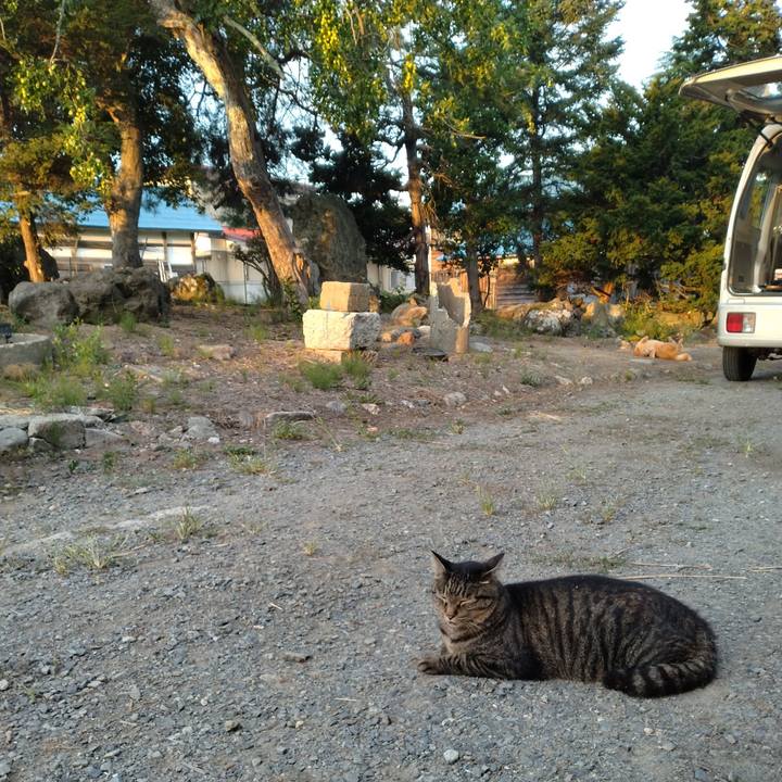 247c2bcd b998 4461 acb4 e5a92bedbd82 1693525725154