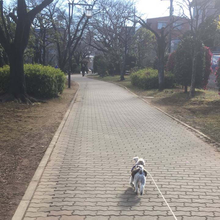 247c6051 1e1b 4267 928b a9b72369eb60 1513502387926