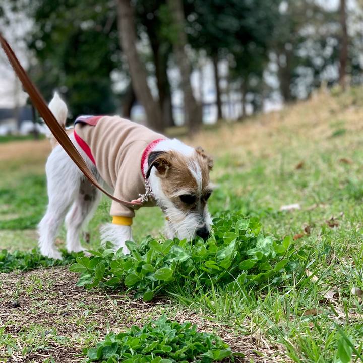 247c606e c2eb 494a b292 0db49d086f99 1616747762761