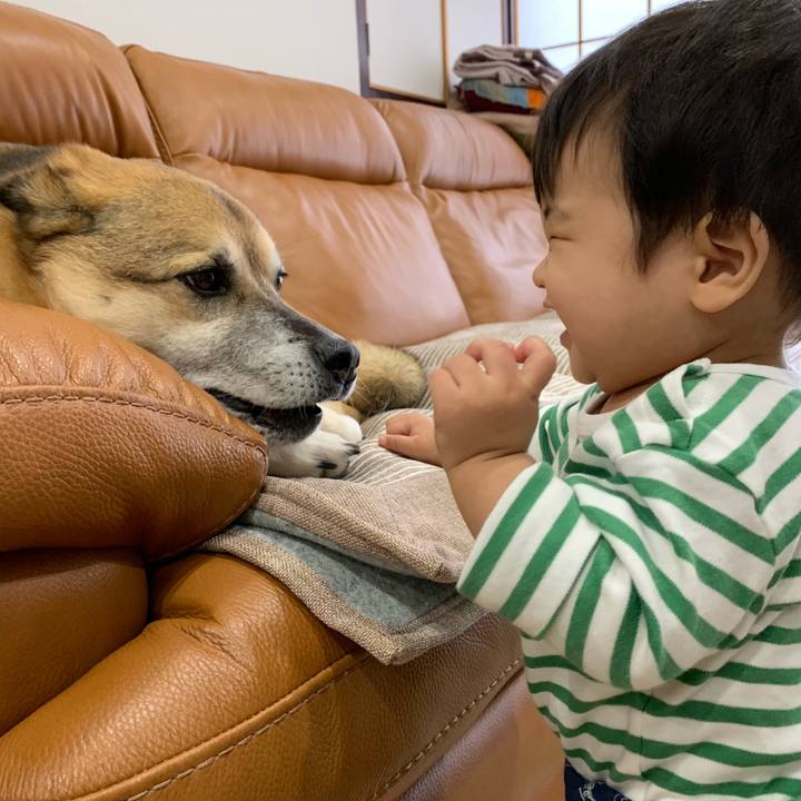 247cb92d 4e68 4c67 9cd6 33791c099b46 1553854983009