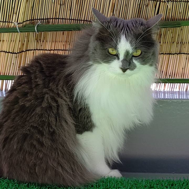 247cc444 9f07 4939 ba27 ae5a71901cb3 1621757565110