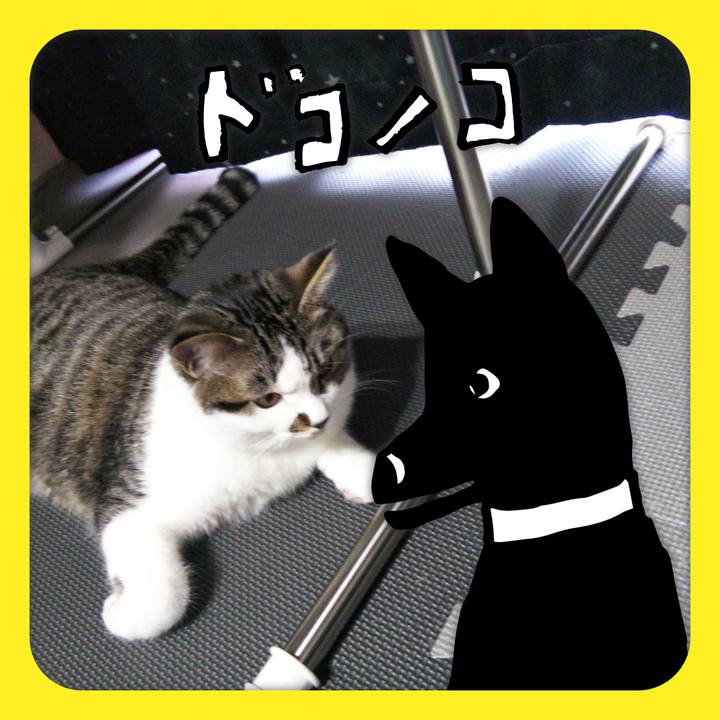 247ced15 45ae 4b86 a270 454d5127a5fb 1622968652064