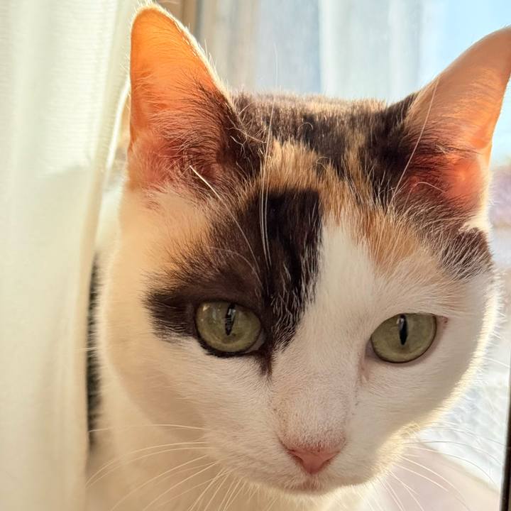 247d1239 33f9 479f b7b5 a9de1099f4b6 1772844736592