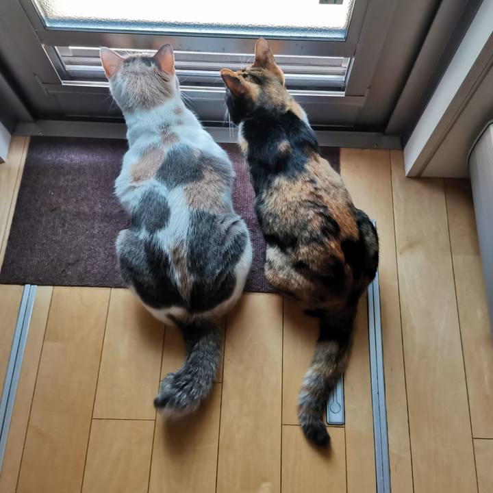 247d7c62 5f35 427f a5aa 5743b64fa3d0 1653364747827