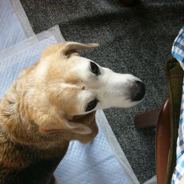 247d7f27 c4a2 4841 84ab a1a16827ef0c 1686703674138