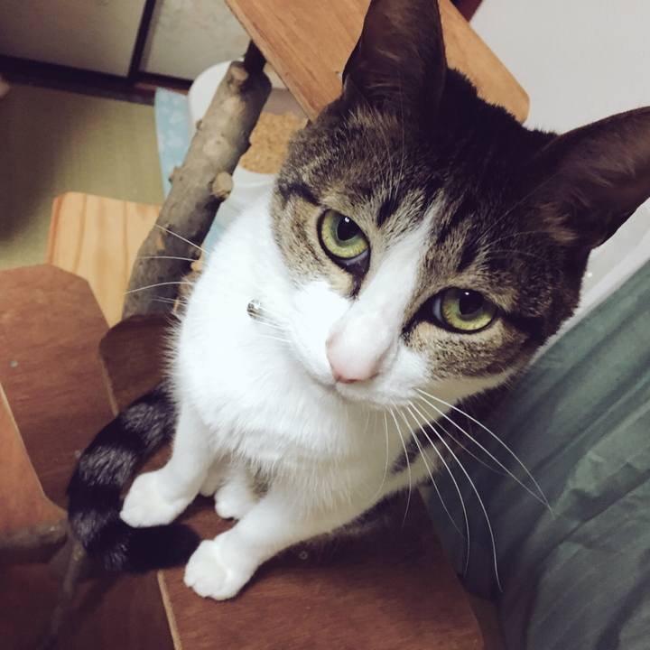 247db94c 1e60 4940 b6d0 05cefef0ade3 1525479013381