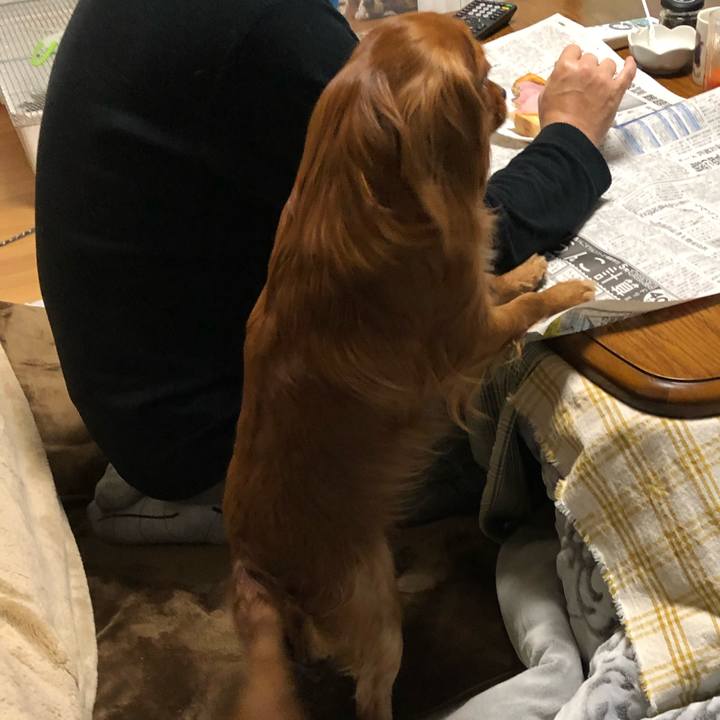 247dce33 c6a4 4998 8213 6dc8a542612e 1550874661389