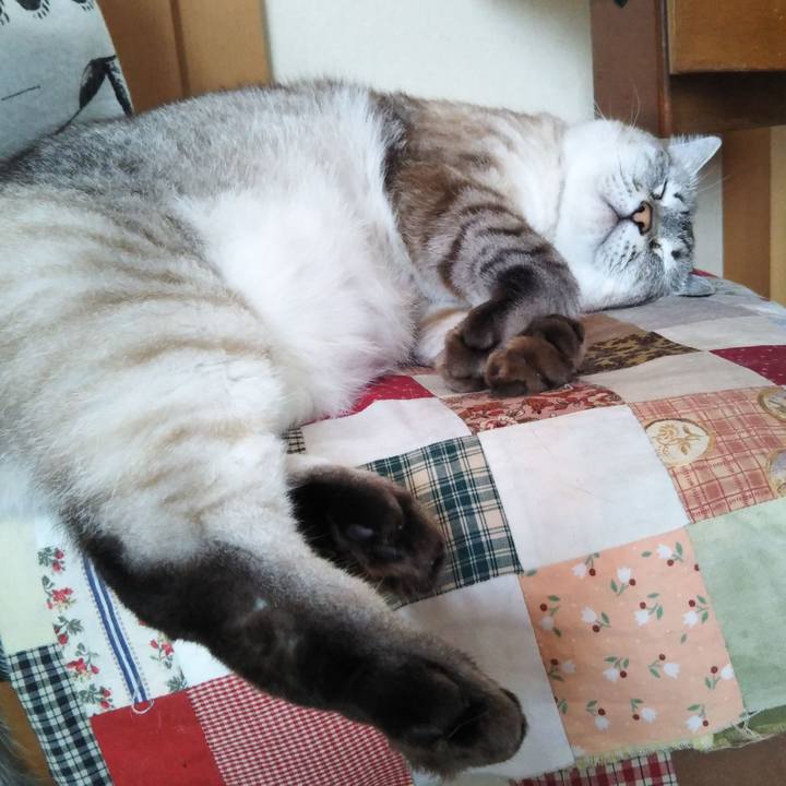 247dddce d0a1 4c08 95a5 3af6238d8084 1629178392157