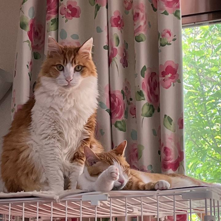 247e05f1 349f 4d98 9c24 7c3ee652bfbd 1650364998998