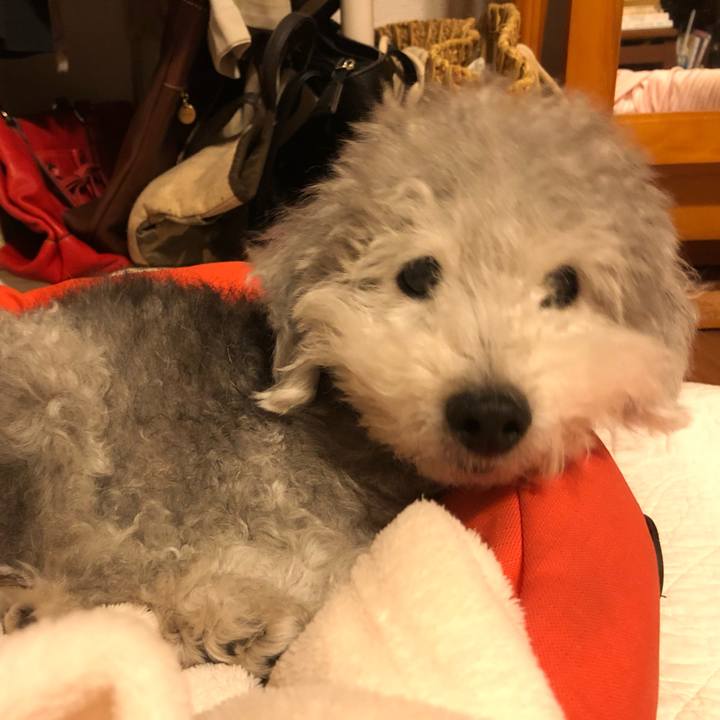 247e29c9 448b 4b1e b233 b225e10e99c2 1563582423728