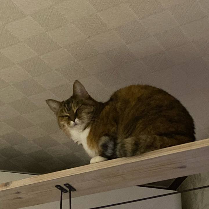 247ea7dd 3c1c 4a40 a615 866706b34956 1674743587799