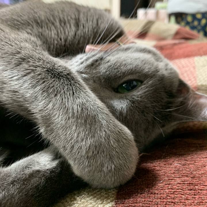 247ea888 739c 4bfa 93ee 8fa9d6789ee0 1586356287807