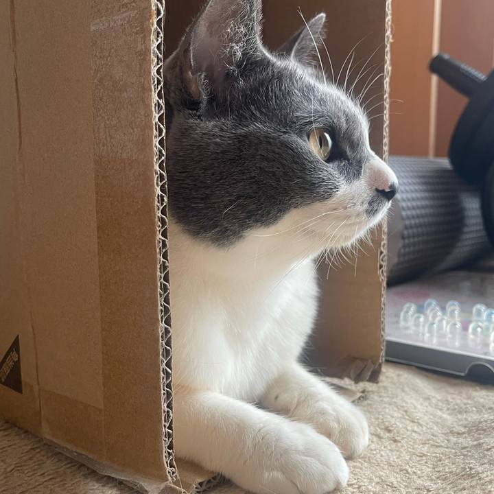 247ea9da c084 45f0 b90e 8da556cb5f66 1735533528340