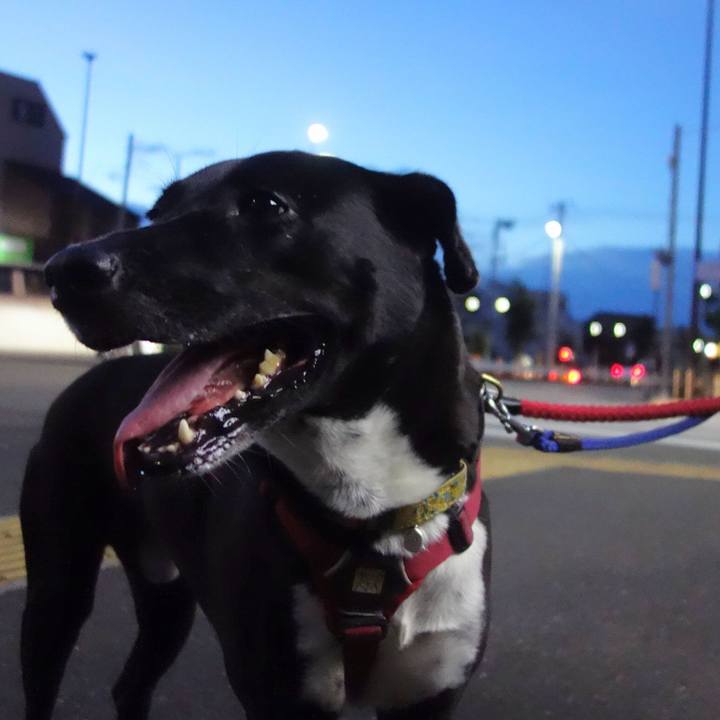 247ecc56 a4ed 488c bd3e 34dd12798044 1599820788157