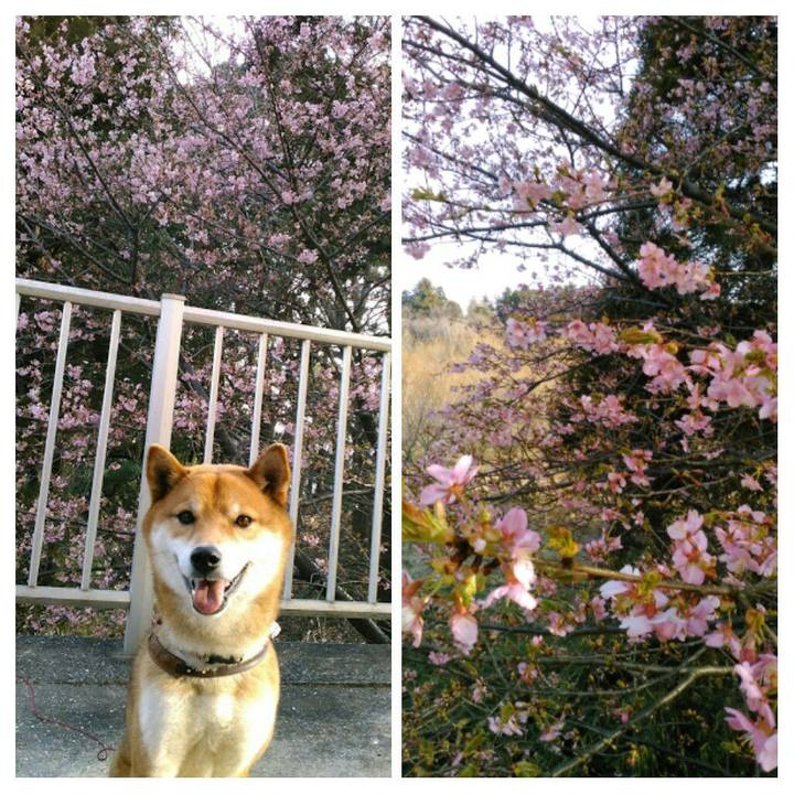 247f50f3 fc66 4175 b1d8 fba15d9a0628 1520932947239