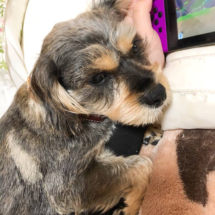 247f7ccf 79fe 45e9 b9b5 b799db2ff1aa 1576758058665