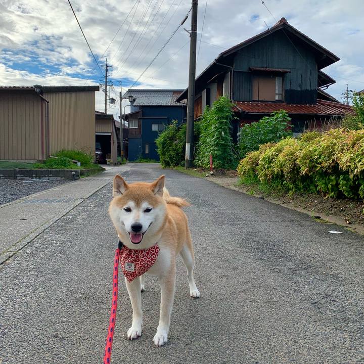 247f871a 43f5 418b a5b3 149dae7e857c 1657011213797