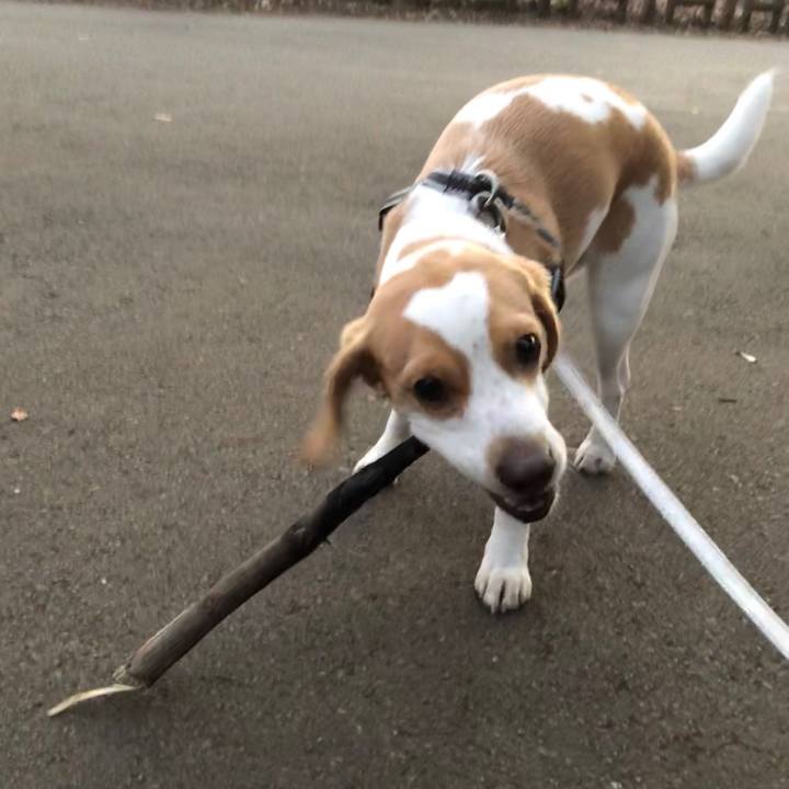 247f9d19 600f 400b a4cd ace217b7e9d5 1578905649765