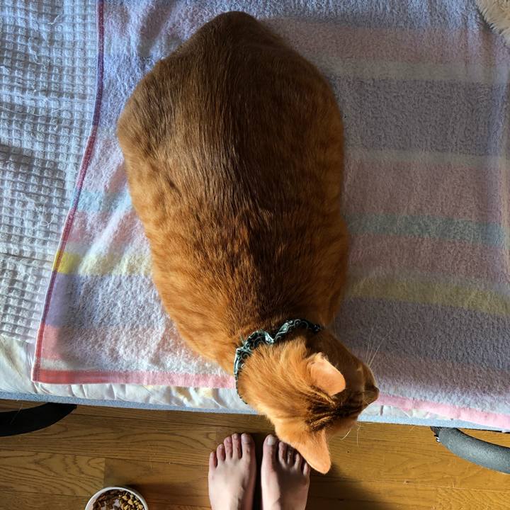 247ffec7 0d9f 4347 9a28 7cea334a9cc6 1585518460790