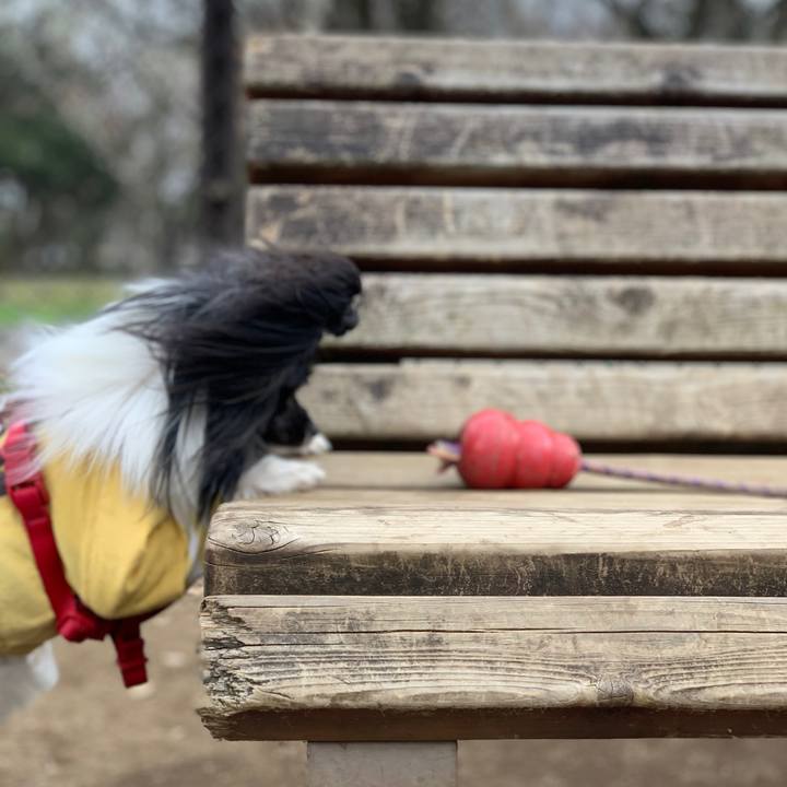 248012e7 647d 416f 8910 7c1650d54a16 1553138840913