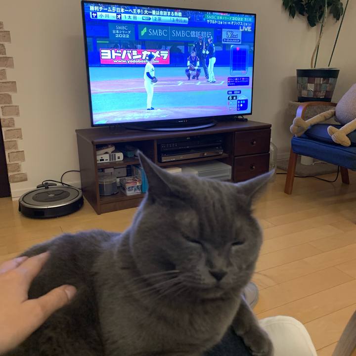 24801d39 d875 4620 8046 15404691e107 1667042189331