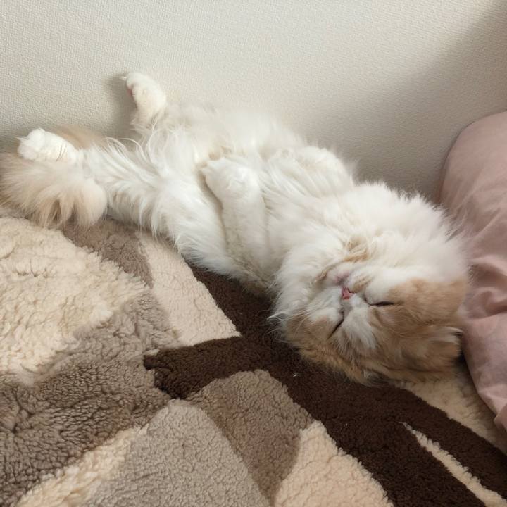 24802c96 e1d2 4910 b10b 44f08d2e11eb 1646172221209