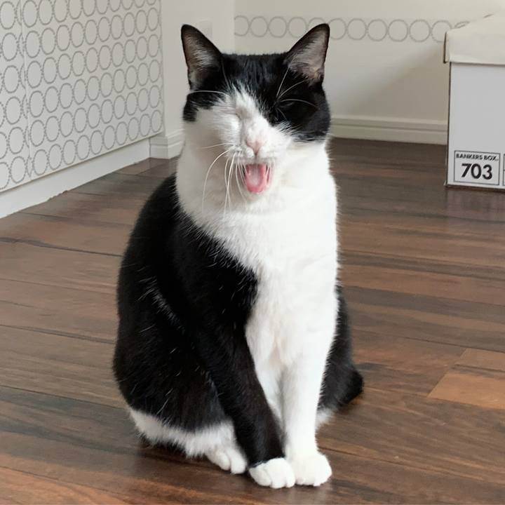 24803604 ee7b 482b a977 ea4ad91c87bf 1573163619725