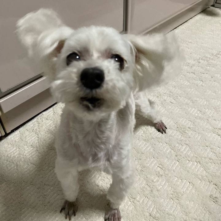 24803f71 96a0 4262 8eb2 287f6dcfa641 1721129670204