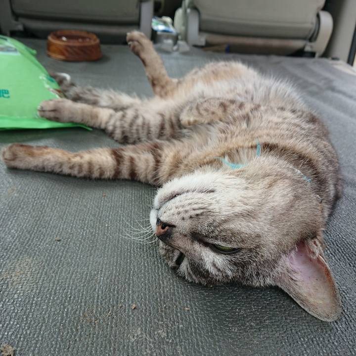 2480906d 9804 4d43 9651 2562fc2590f7 1559448667358