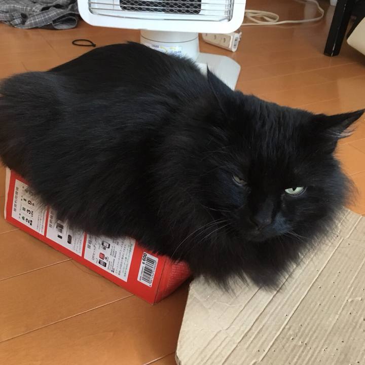 2480bbde 687a 4a88 ae8b a75ea1a0b725 1544847456082