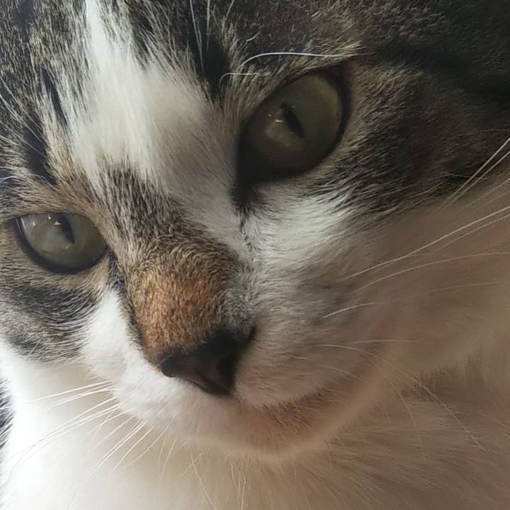 2480c2c3 e479 46b0 a544 5eced40a50dc 1606793424066