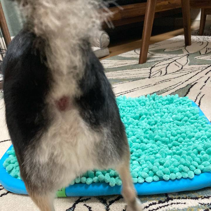 2480db77 bcda 4351 b85a 0892c9be7b41 1626011471494