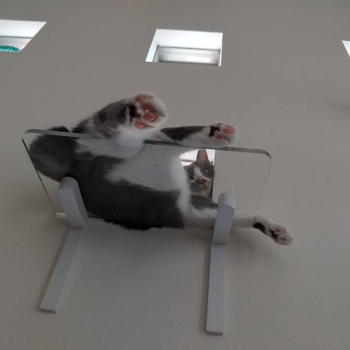 248122ff f7fd 450f a250 402d38b886f5 1627789945330