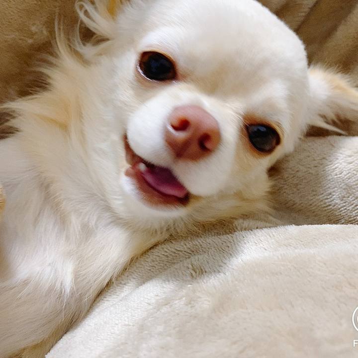 248123a3 9a06 4c3a 94b9 c72ddc4de01e 1618349688809