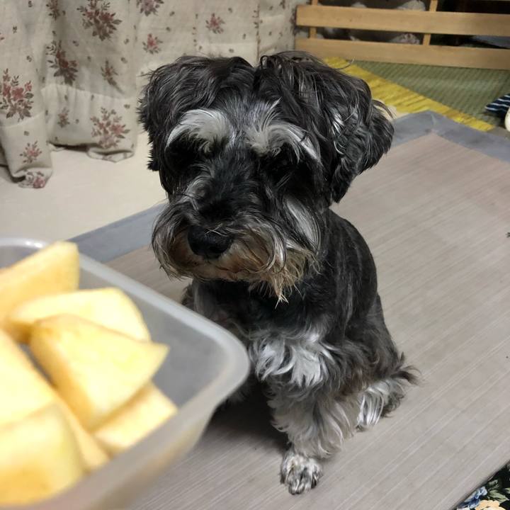 24817230 1006 435a 9111 a2c466a20eb7 1621683596176