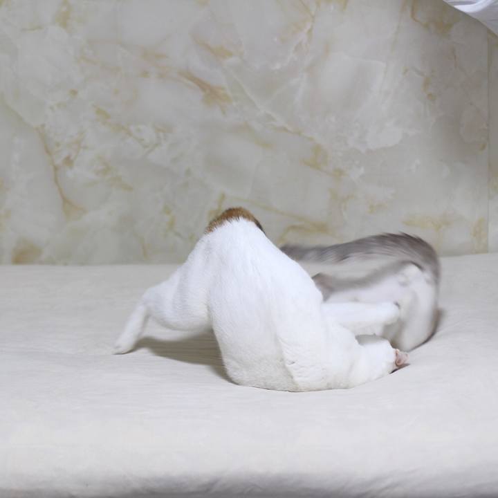 24820a4e 79f1 46a7 af81 c6df5b115fb3 1612528081676