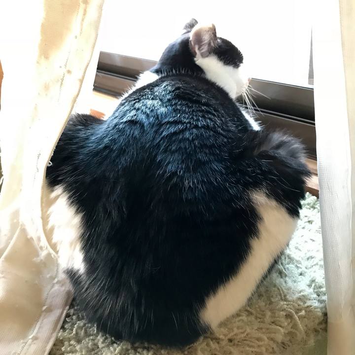 24822572 aea3 49c8 ab6f 63f218e91f16 1516768025113