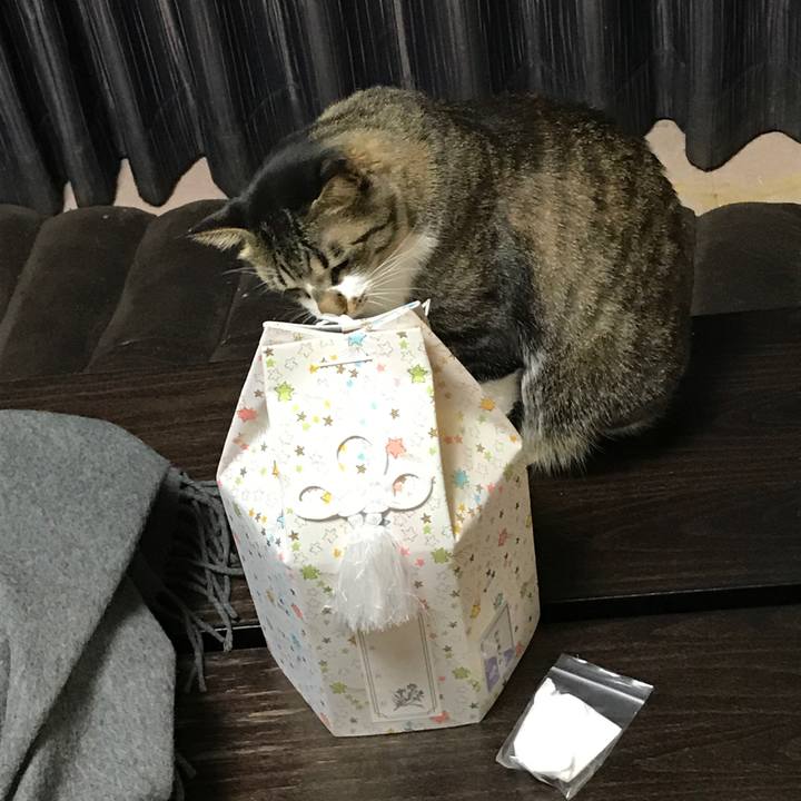 24822982 5fe4 4ac8 9dcb 3e48563b0ea2 1579326926971