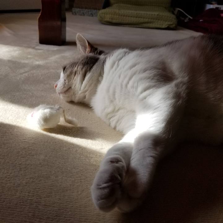 24828d9e b276 4395 b13c 52d13e15afed 1671359106045