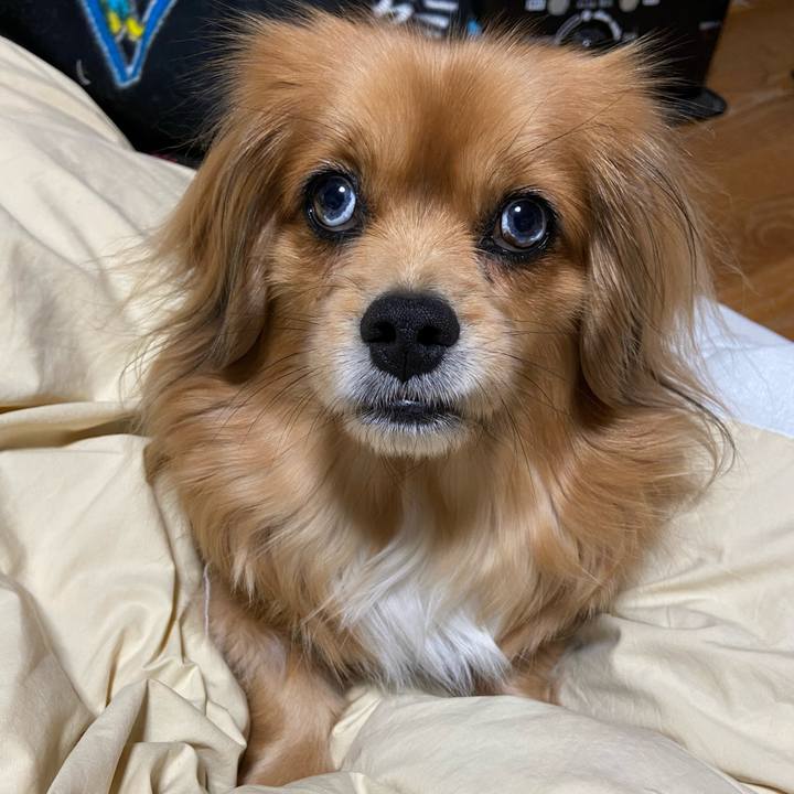 248290d2 97de 4921 8e1d 1c700d904288 1614461684976