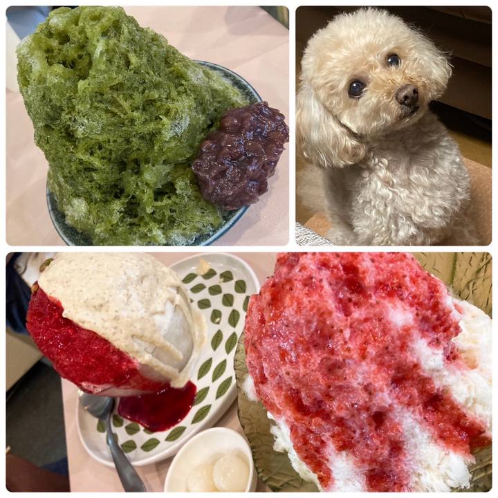 2482b702 0f61 46af b169 a2eac4079d76 1692423268452