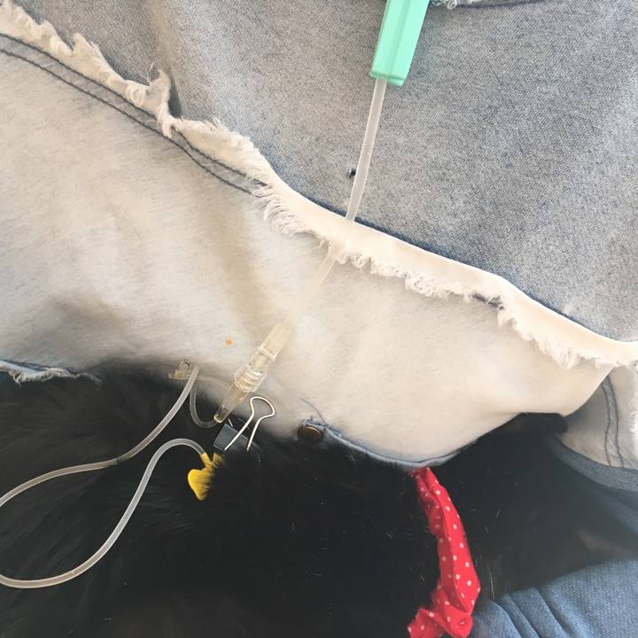 2482da8d 1dbc 4979 9f28 e4aa46231036 1553385916909