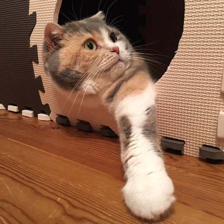 2482eb26 d37e 406a bfcc c21608def727 1561281765827