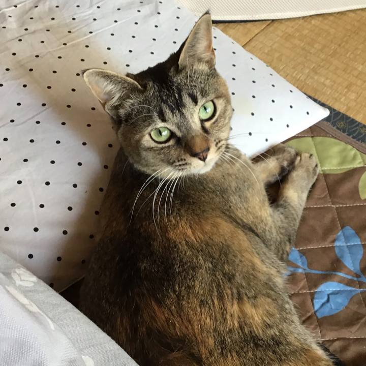 24830020 ac51 425e 9e44 79b87527a4d1 1587780694261