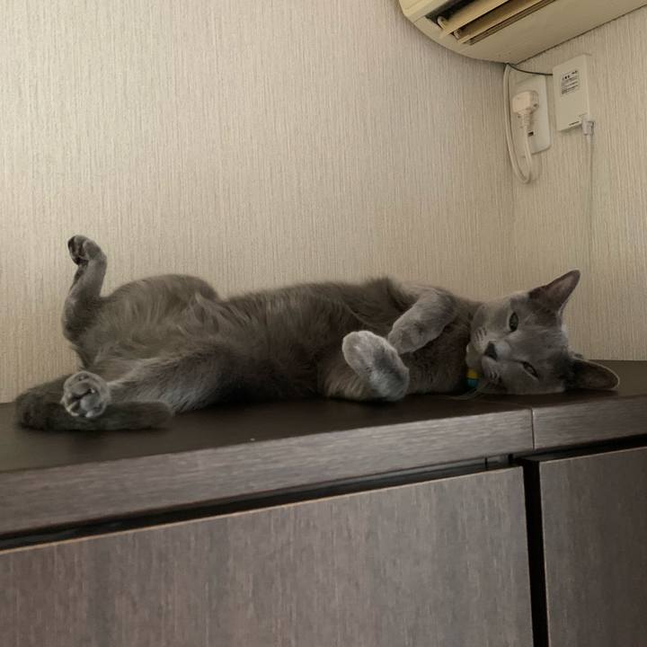 248351b3 82d2 4a81 bb89 ae3caaf5a563 1639447180228