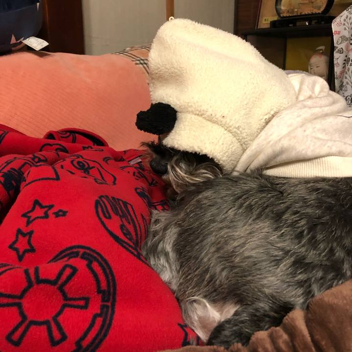 2483726c b01f 44b6 a006 fc55744a5573 1612529385914