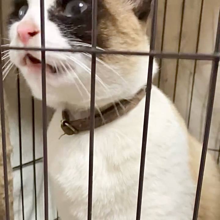 2483817e 5569 4d76 8c0b 9ce720adcef2 1742895225269