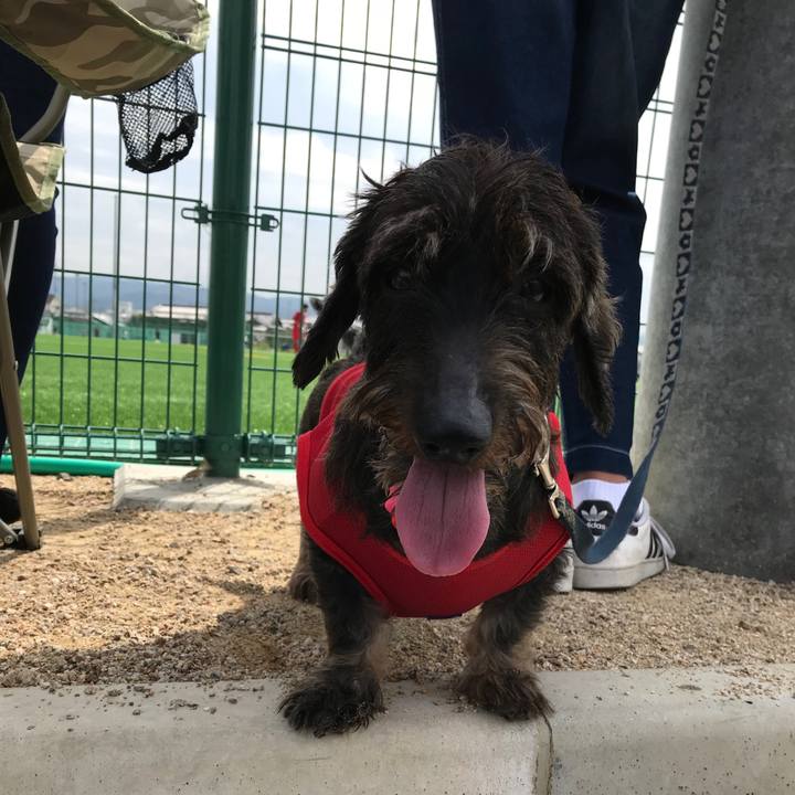 24842d91 39b1 42e0 897b 4ffad10c2f2c 1537759248685