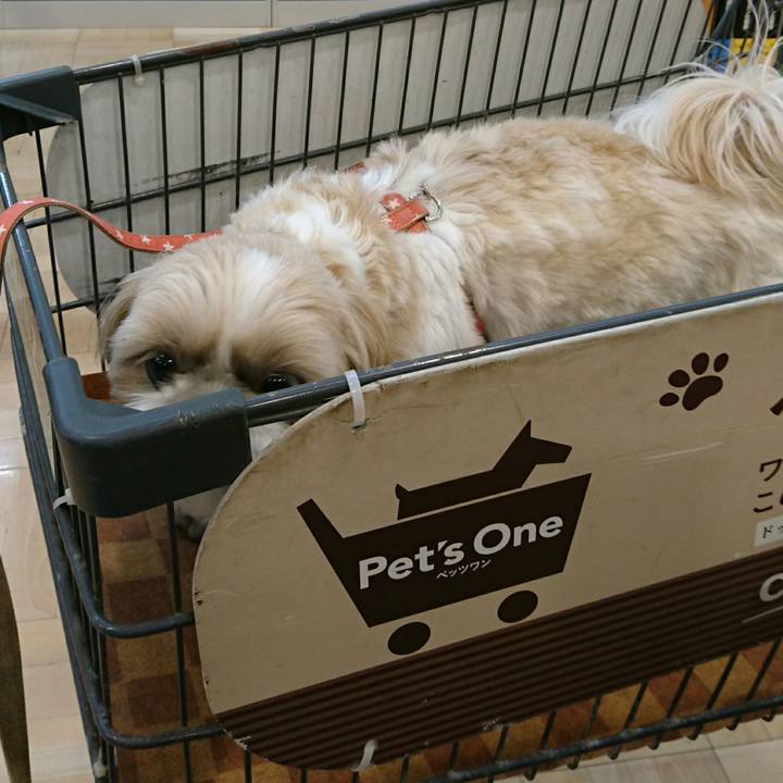 248432b0 09f9 407a 8e36 10680178e9f7 1542953722260