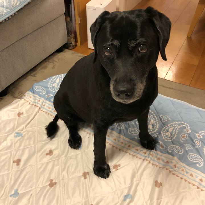 2484450d 94ab 4ed9 ba2b e1fefe773ecf 1590917977087